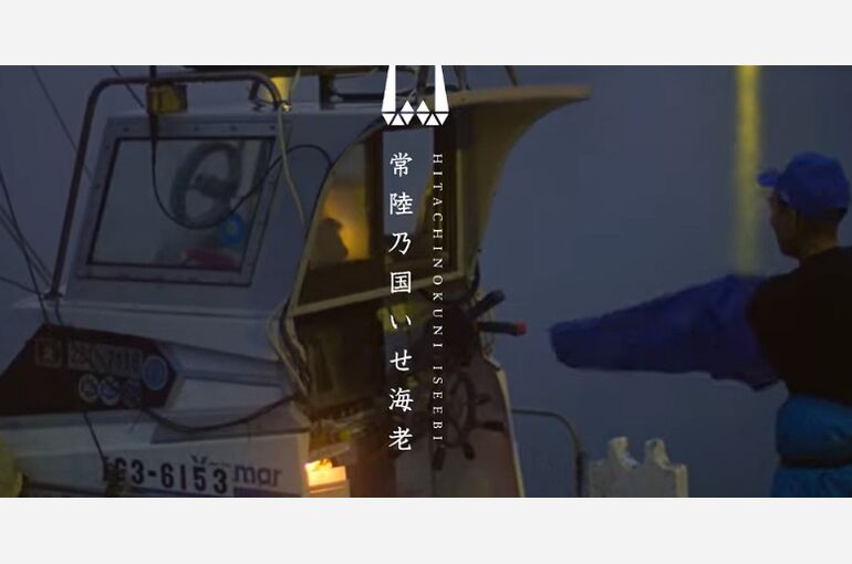 ８月沢畑