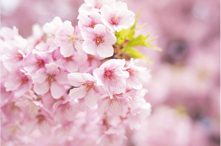 photo0000-4234