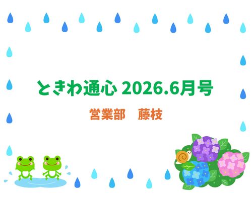 通心6藤枝