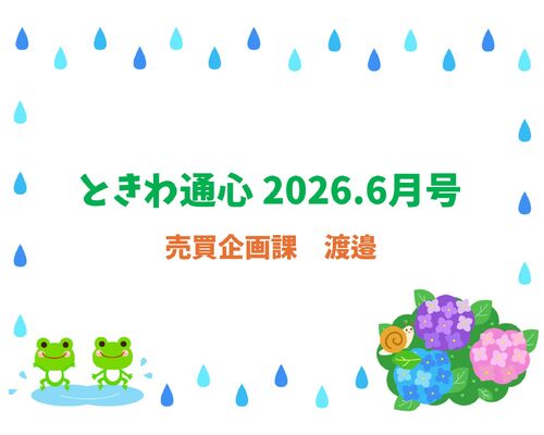 通心6渡邉