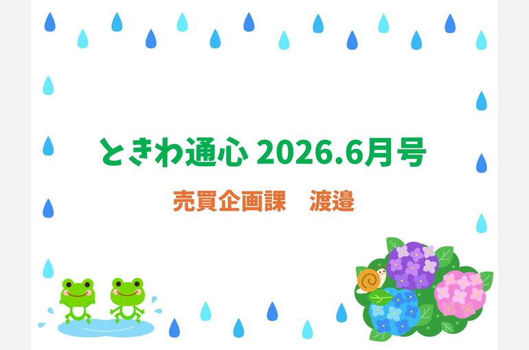 通心6渡邉