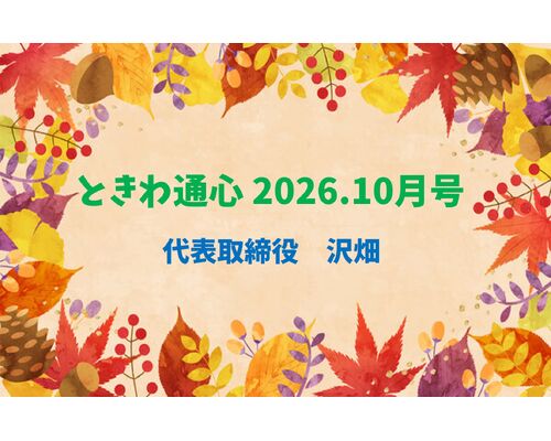 通心2026.8月